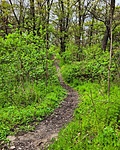 IMG_20230416_162030_798
