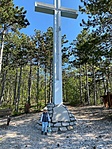 IMG_9309