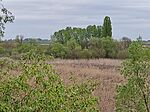 IMG_20230429_111503