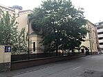 IMG_5567