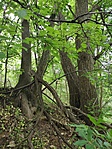 IMG_20230506_173536