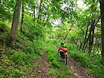 IMG_20230506_172756