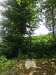 IMG_20230528_135955