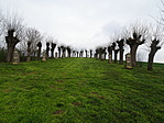 DSC07498