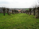 DSC07499