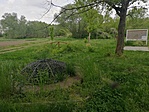 IMG_20230506_121820
