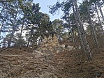 IMG_20220327_114441
