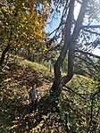IMG_20221016_120600