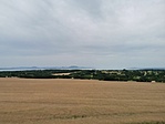 IMG_20220622_153812