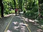 IMG_9364