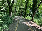 IMG_9363