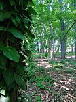 IMG_20230528_102304