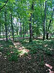 IMG_20230528_102144