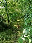 IMG_20230528_092638