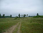 Ösvények