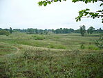 Ösvények