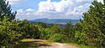 király
