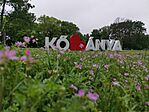 IMG_20230517_113506