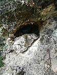 IMG_20230501_164957