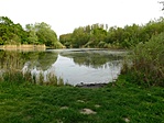 Rabi-tó