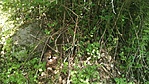 GCBUJK - IMG_20230507_105018