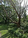 IMG_20230520_094444