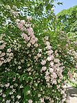 IMG_20230520_115422