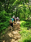 IMG_20230506_104601
