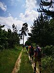 IMG_20230527_131124