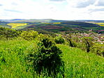 Kilátás