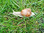 IMG_20230429_101608
