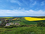 Színes