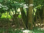 IMG_20230524_142723