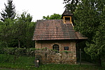 IMG_9058
