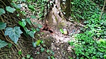 IMG_20230503_111719