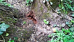 IMG_20230503_111631