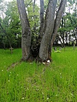 Össze