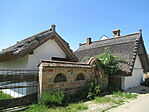 IMG_0105