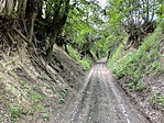 IMG_0215