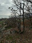 IMG_20221126_122933