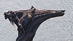 20230526_123411.jpg