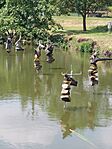 20230526_123313.jpg