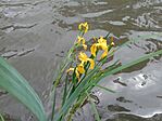 IMG_20230513_121422