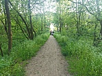 IMG_20230504_182324