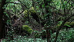 DSC07750