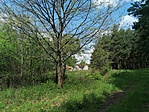 IMG_20230507_114813