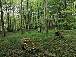 IMG_20230507_120239