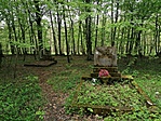 IMG_20230507_120504