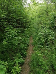 IMG_20230511_155033