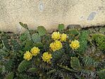 IMG_20230531_143531